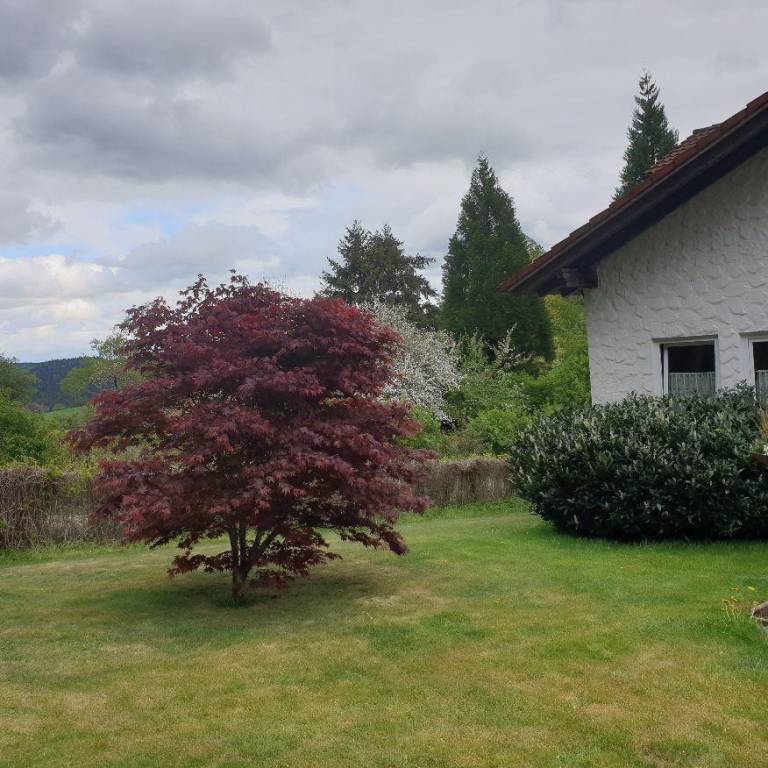 foto26