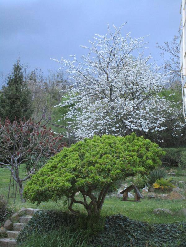 foto17