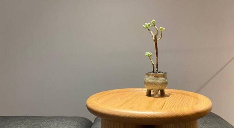 foto47