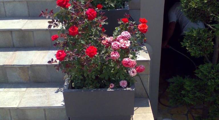 foto35