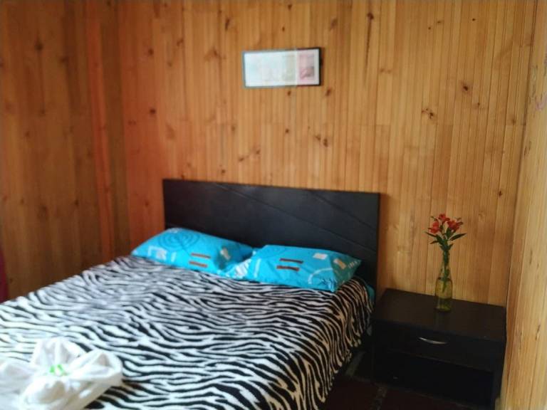 foto2