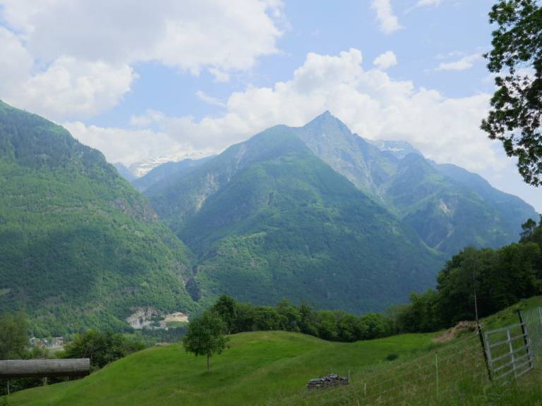 foto15