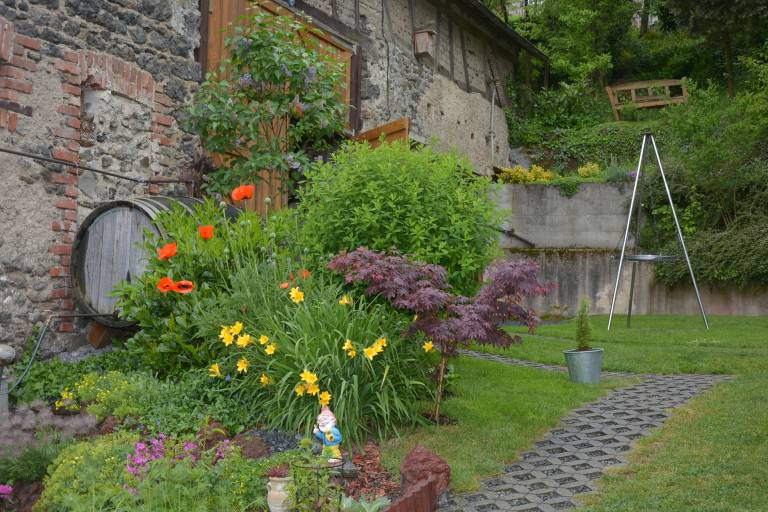 foto4