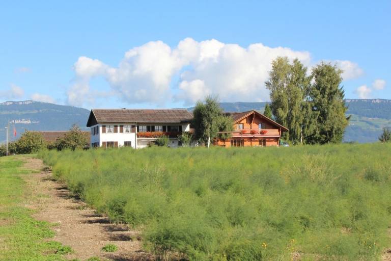 Apartment Luterbach