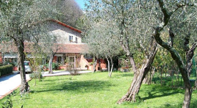 Gli Ulivi Bed & breakfast — photo 5