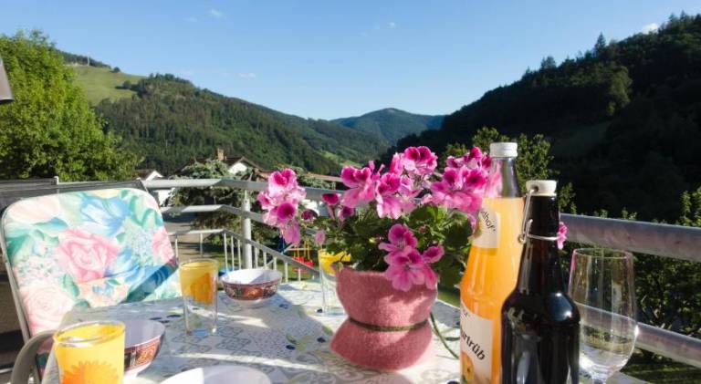 Steiert Panorama Apartments Todtnau — photo 3