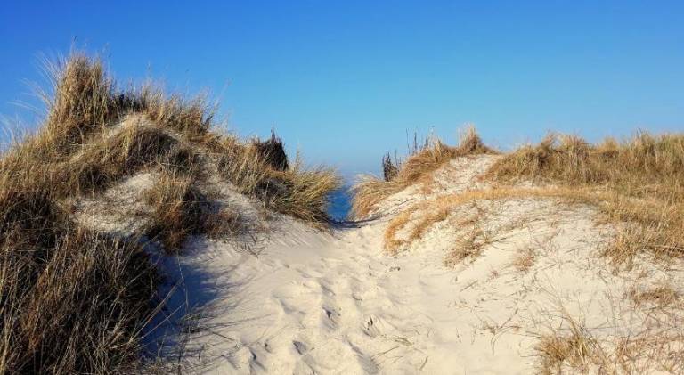Witte Kliff Helgoland — photo 5