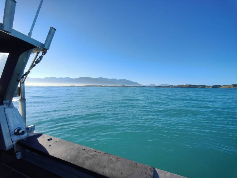 House Kaikoura