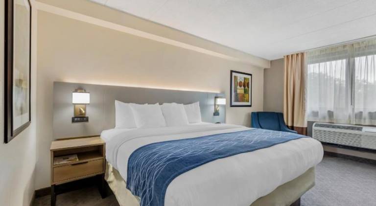 Comfort Inn Herndon-Reston — photo 2