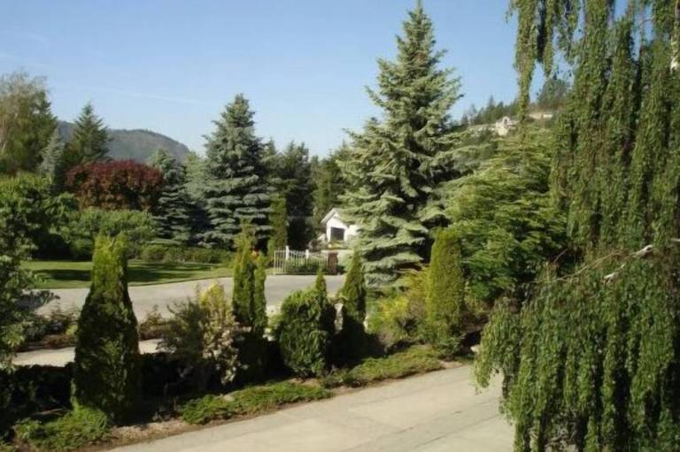 foto16
