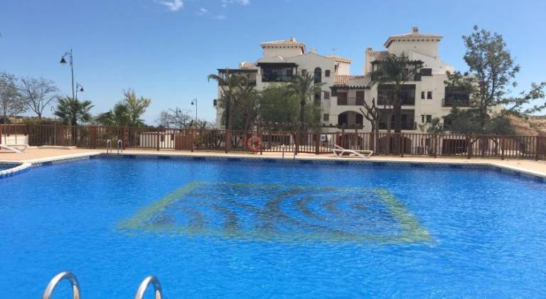 Pleasant rental apartment with pool & jacuzzi | Pets are welcome in Murcia
