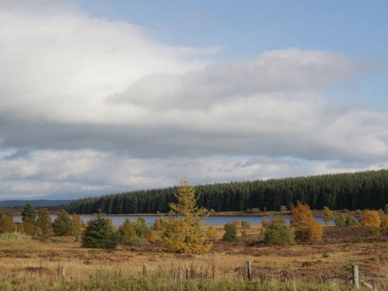 Cottage Kenmore