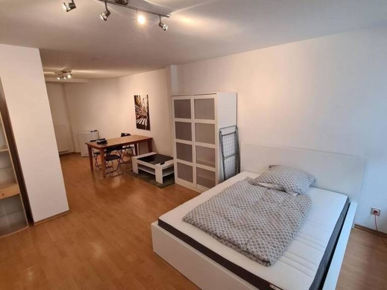 foto1