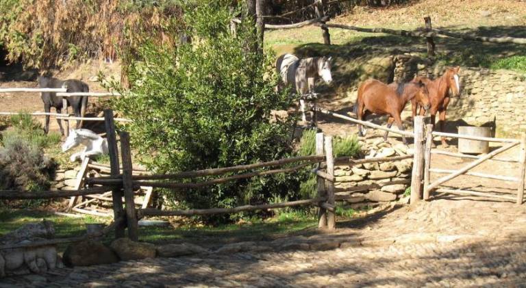 Pleasant lodge | Pet-friendly — photo 3