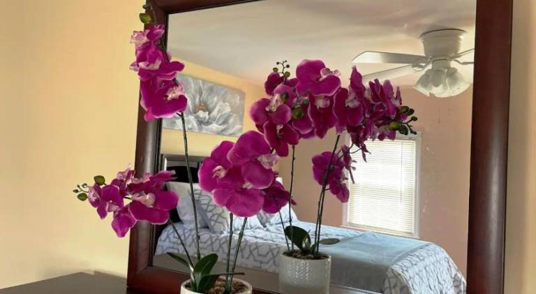 foto24