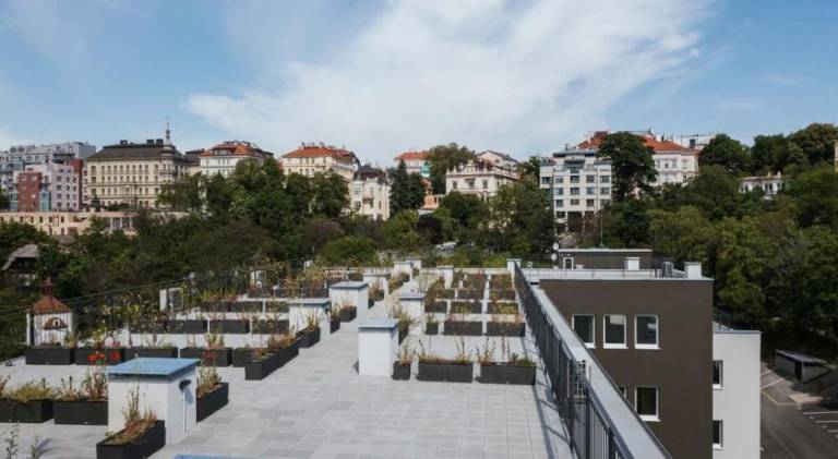 Holiday apartment with terrace — photo 3