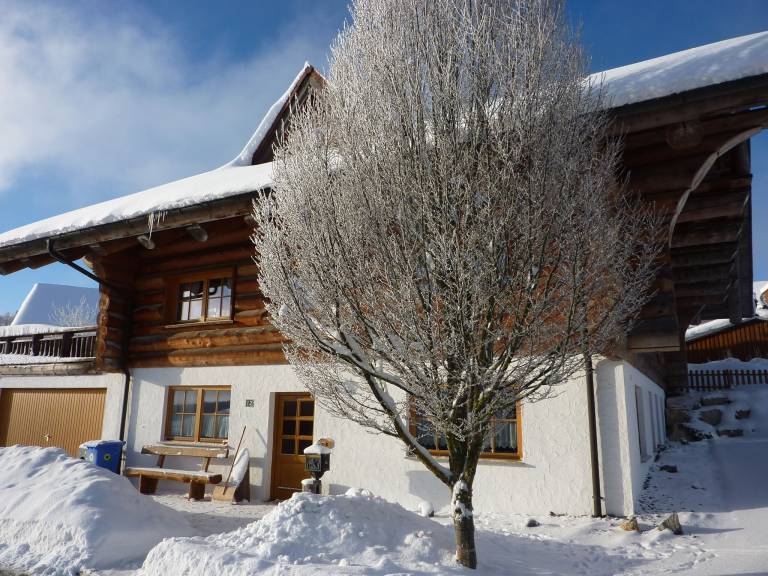 foto11