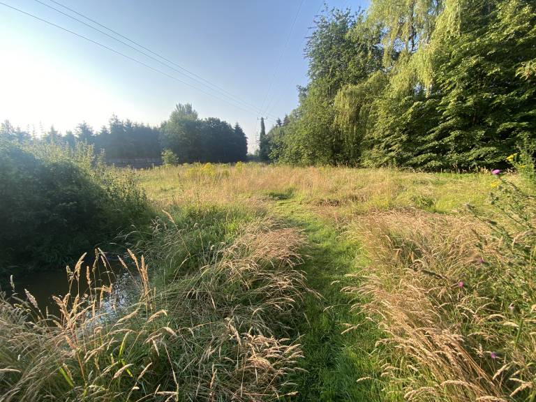 foto21