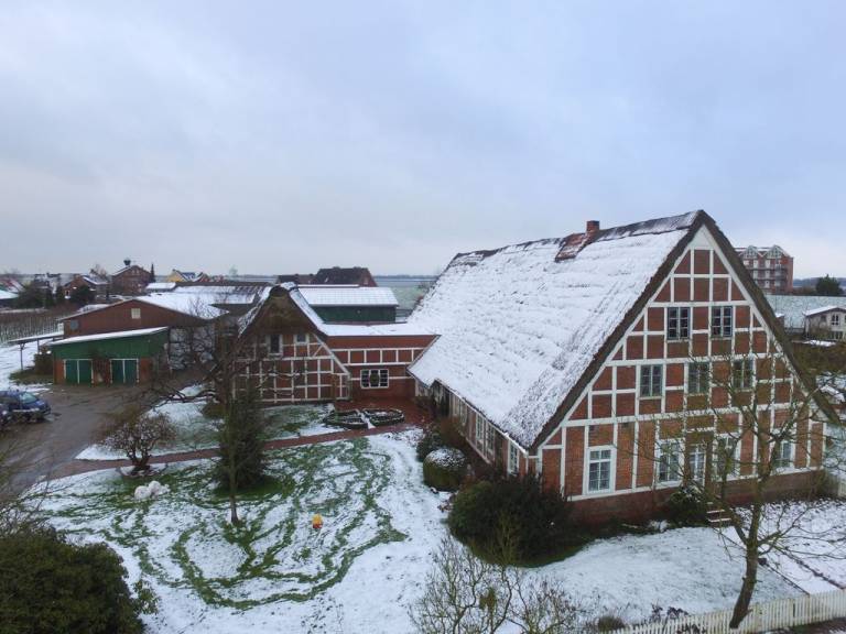 foto19