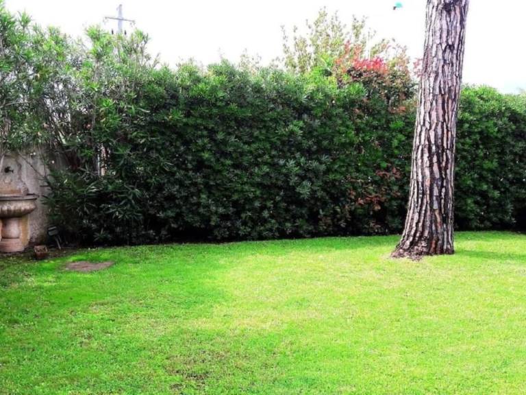 House with yard, patio & barbecue — photo 4