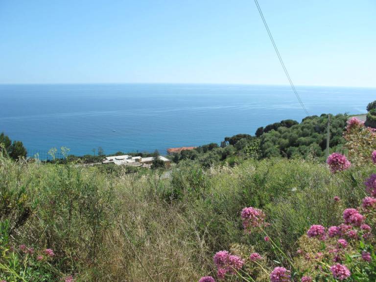 foto16