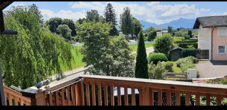 foto18