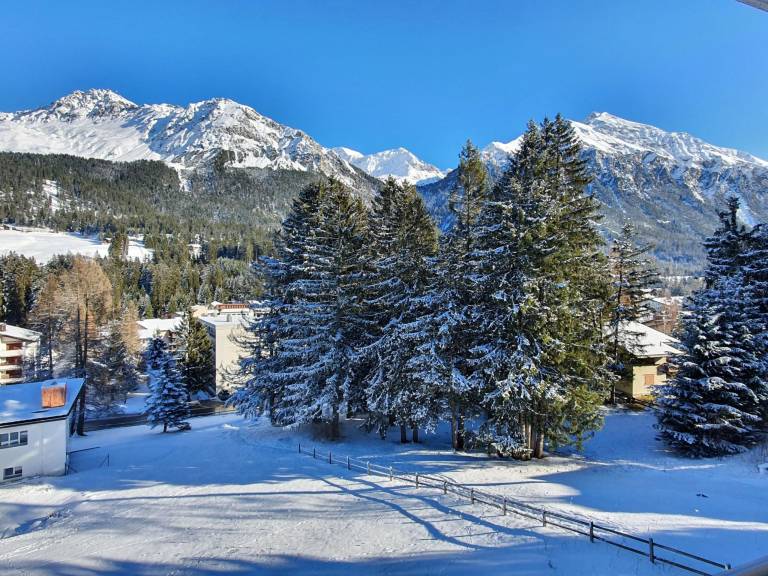Apartment Lenzerheide