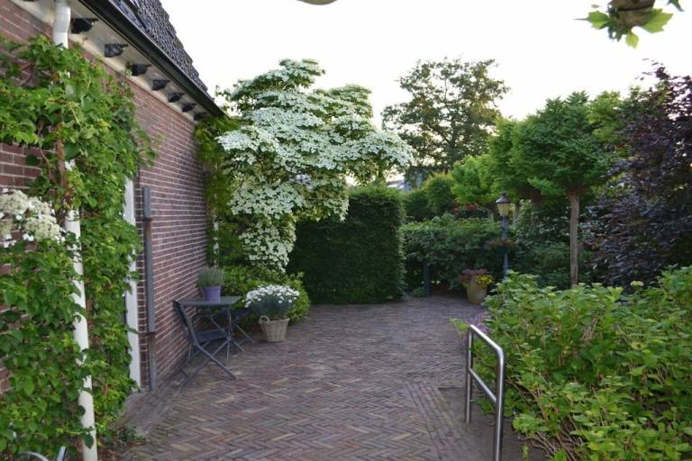 Ferienhaus  Wijk aan Zee