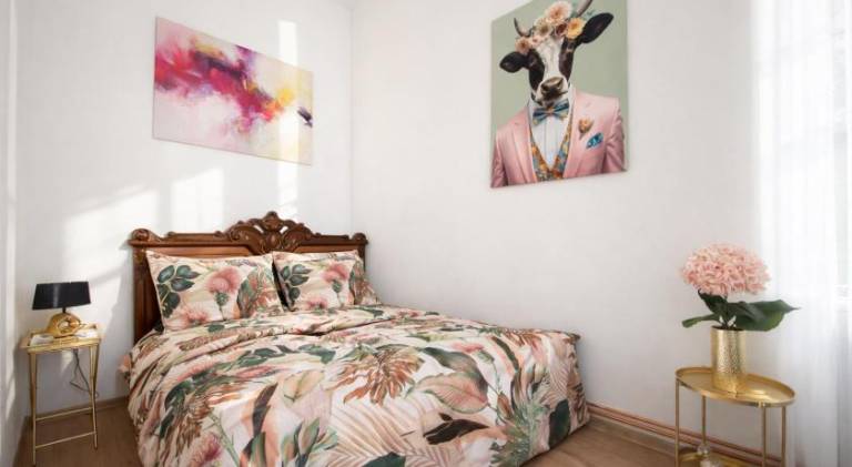 Beautiful holiday apartment | Near Holy Trinity Column | Dogs allowed in Olomouc
