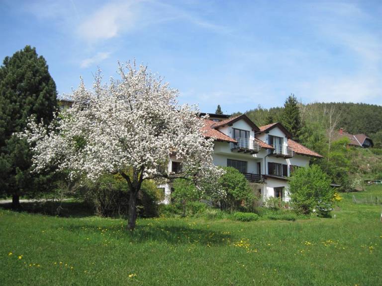 foto11