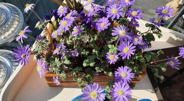 foto14