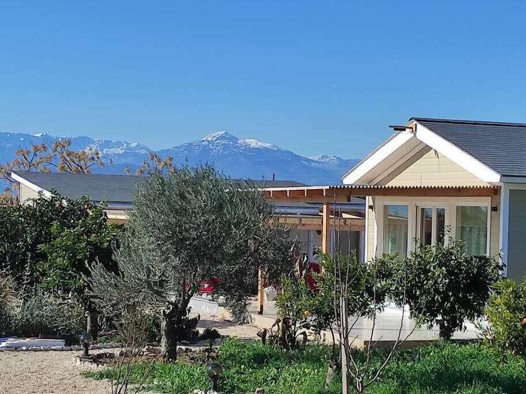 σπίτι  Νέα Τίρυνθα