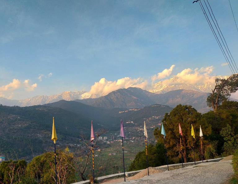 The Tea Gardens Retreat Dharamshala — photo 3