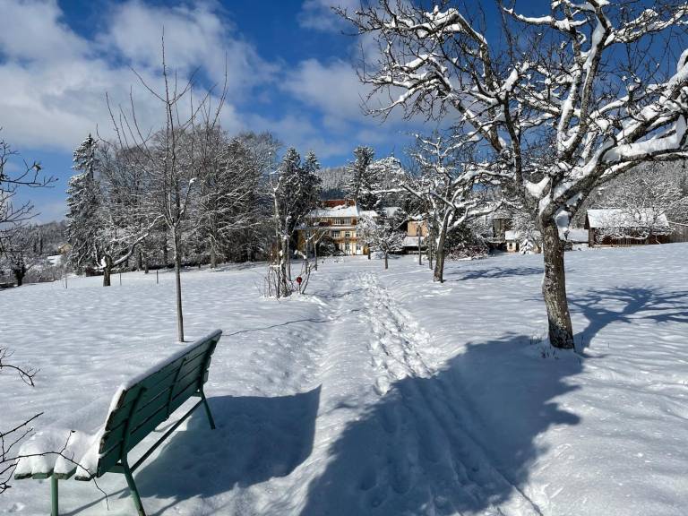foto44