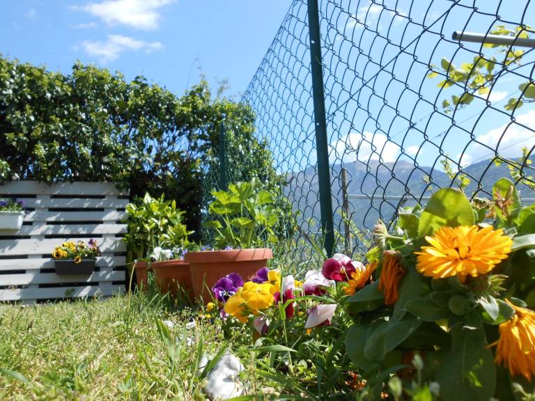 Rental apartment with garden — photo 2