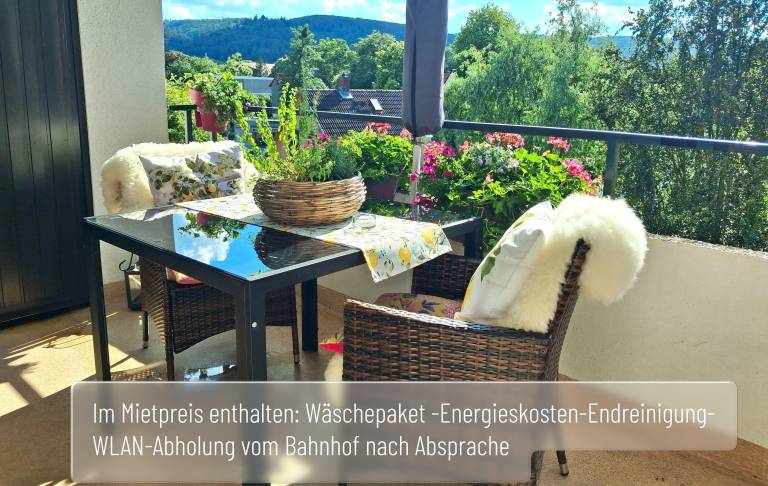 Ferienwohnung Bad Harzburg