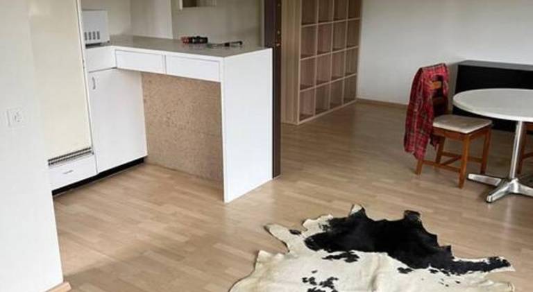 Rental apartment with 1 room for 3 persons — photo 5