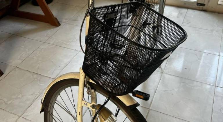 foto33
