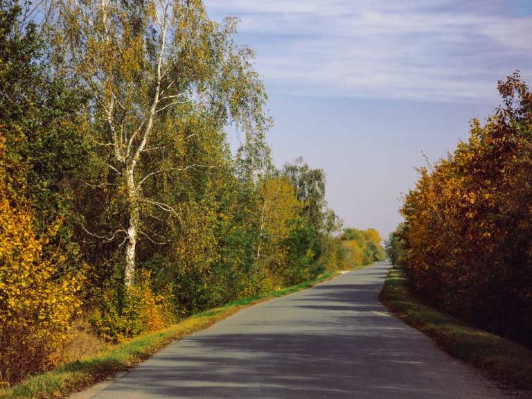 foto23