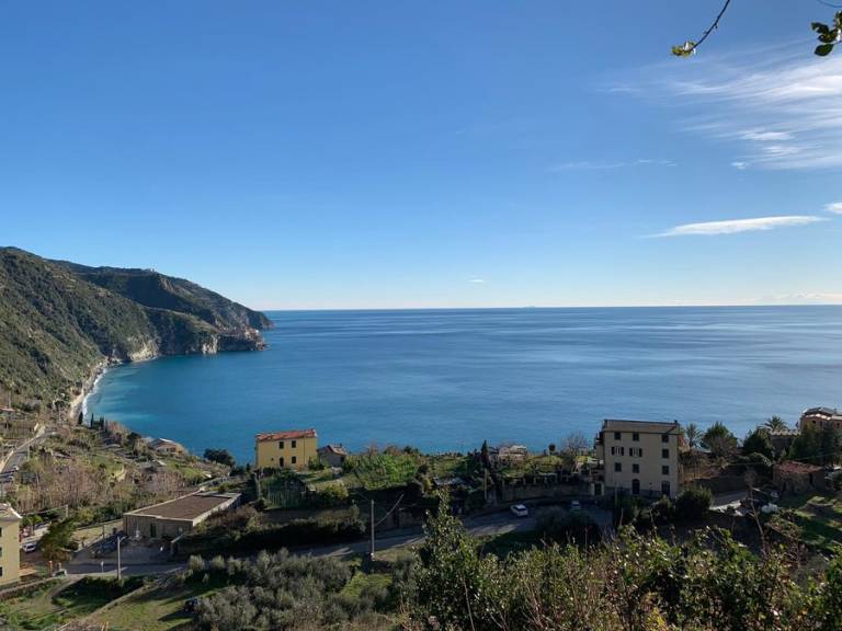 Camera privata Cinque Terre