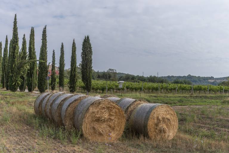 Le Case Rosse di Montebuono: Villa — photo 5