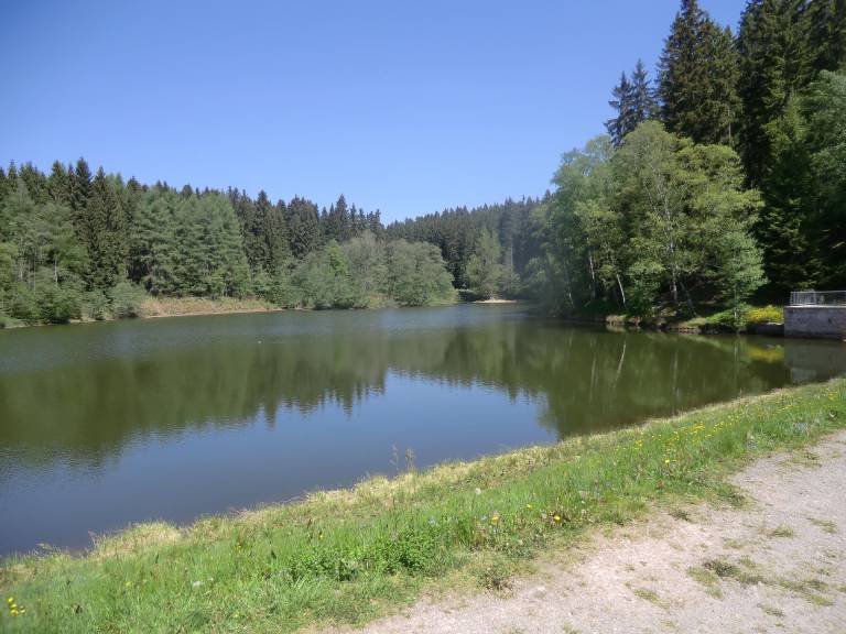 foto17