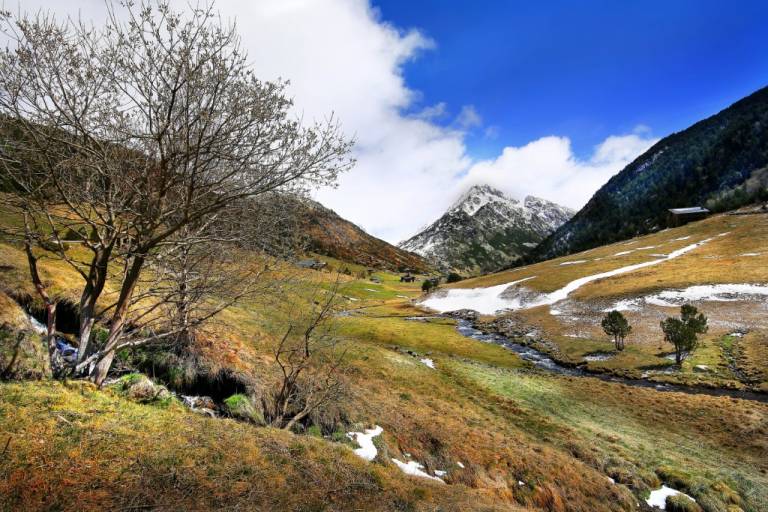 Chambre d'Hôtes  Canillo