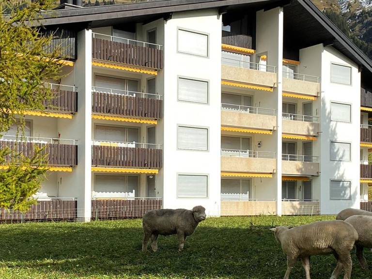 Apartment Lenzerheide