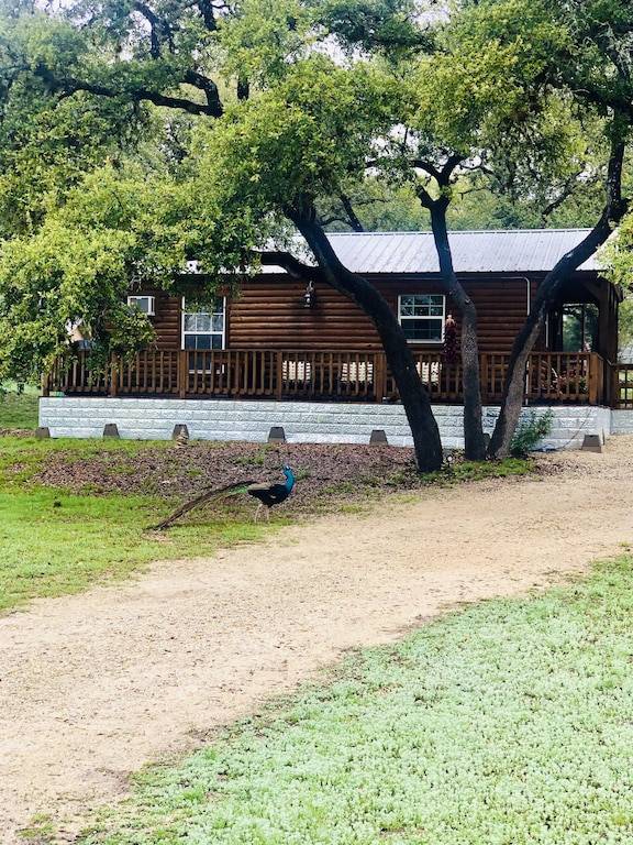 Canyon Lake Cabin Rentals from $75 | HomeToGo