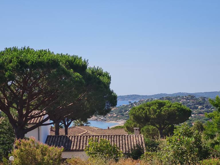 Fully equipped villa with private pool | Pets are welcome — photo 3