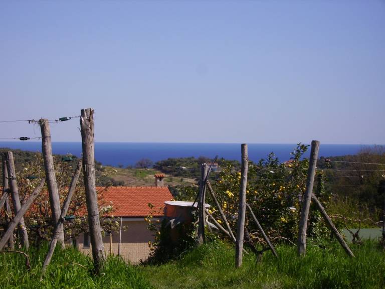 Maison de vacances Imperia