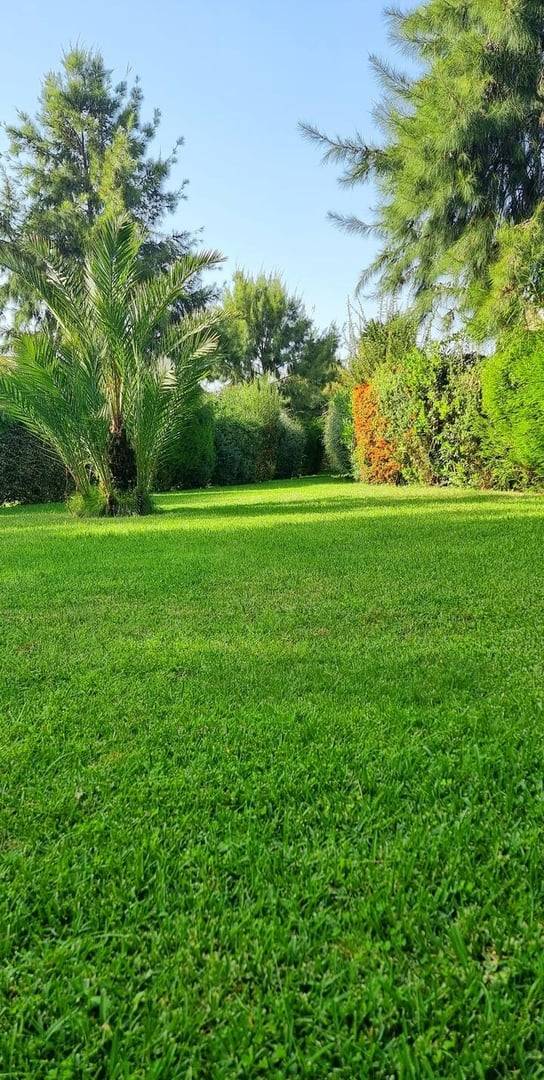 foto39