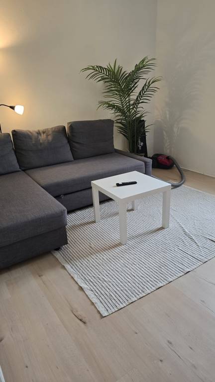 foto2