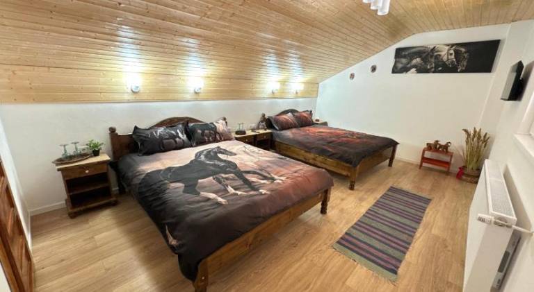 Casa Taraneasca "OM BUN" in Sibiu